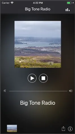 Game screenshot Big Tone Radio® mod apk