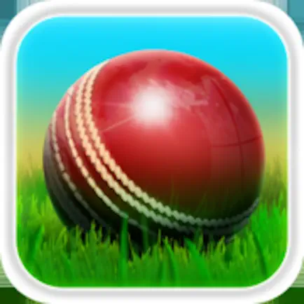 Cricket 3D : Street Challenge Читы