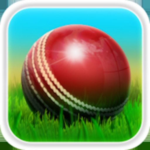 Cricket 3D : Street Challenge Icon