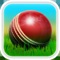 Icon Cricket 3D : Street Challenge