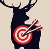 Archery 3D