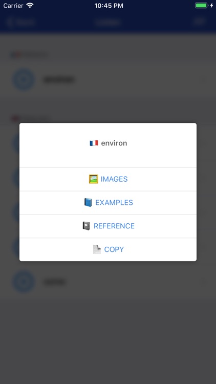 French Dictionary - offline screenshot-3