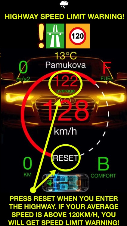 Dr. Falcon Driving Safety screenshot-3