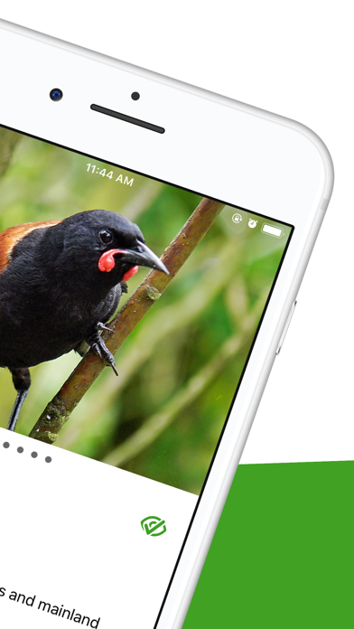 How to cancel & delete Bird Nerd NZ from iphone & ipad 2