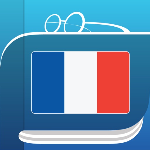 Dictionnaire Français. Icon