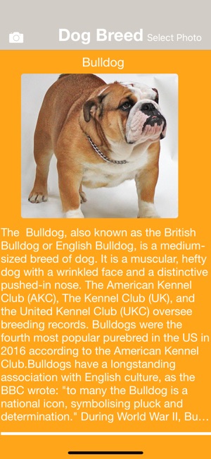 Dog Breed Identify(圖3)-速報App