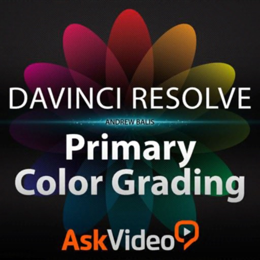 Primary Color Grading Course icon