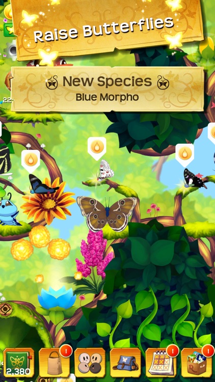 Flutter: Butterfly Sanctuary screenshot-3