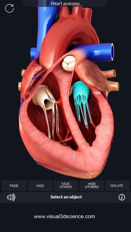 AR Heart Anatomy