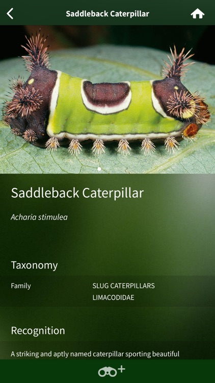 Caterpillar Id USA East Coast screenshot-3