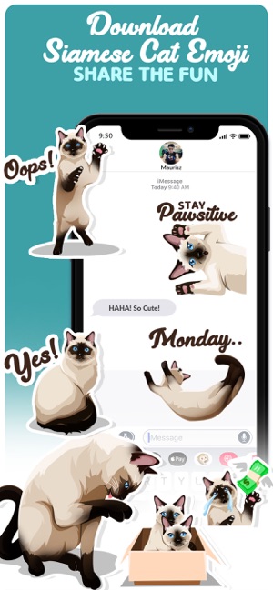 Siamese Cats Emoji Sticker(圖5)-速報App