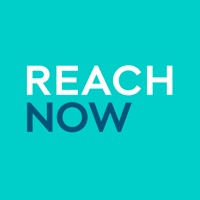 REACH NOW app funktioniert nicht? Probleme und Störung