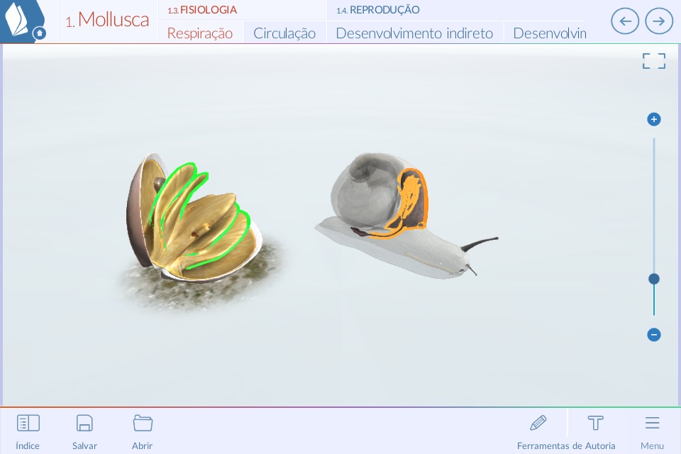 Animais Invertebrados screenshot 2