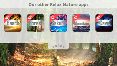 Relax Nature: Forest screenshot 3