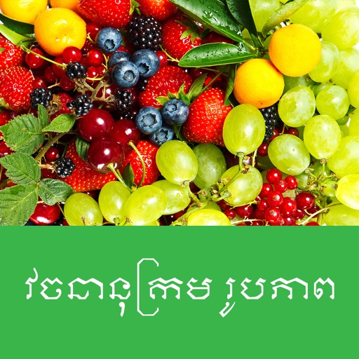 Khmer Picture Dictionary