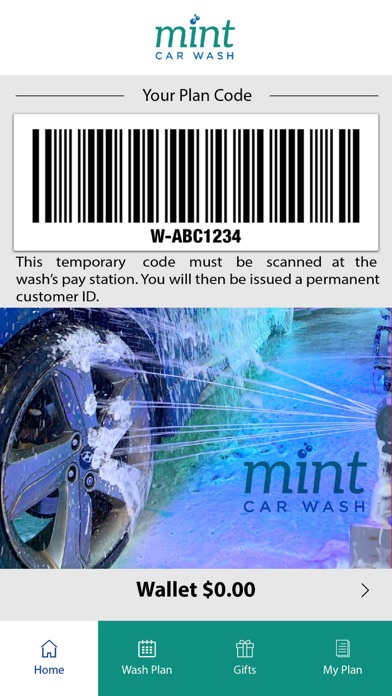 Mint Car Wash screenshot 2