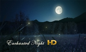 Enchanted Night HD