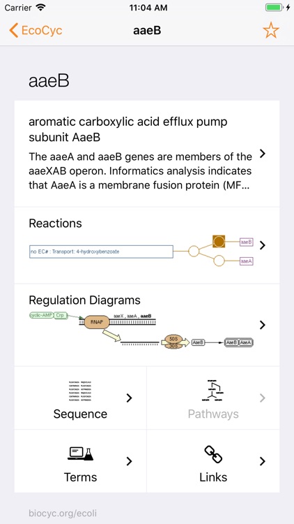 BioCyc Pathway/Genome DBs