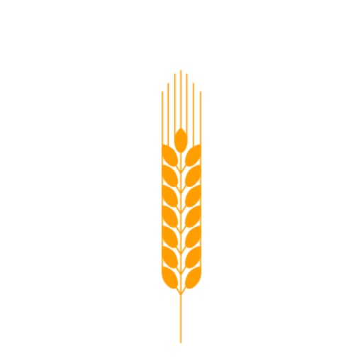 Bread Culture