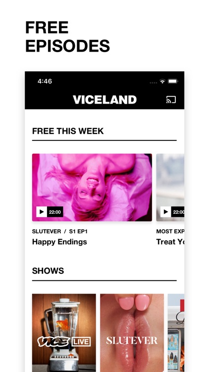 VICELAND screenshot-4
