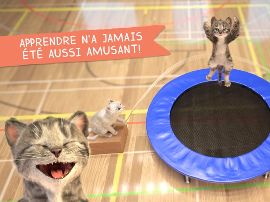 Petit Chaton & ses amis ! Petit Chaton & ses amis !