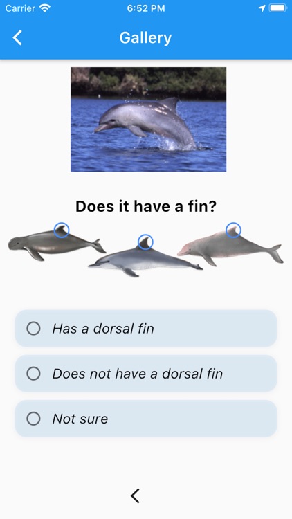 Marine Mammal App screenshot-3