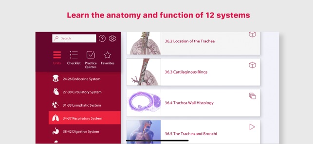 Anatomy & Physiology