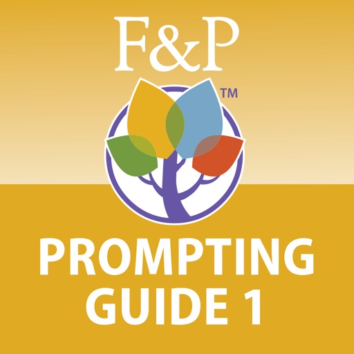 Prompt guide