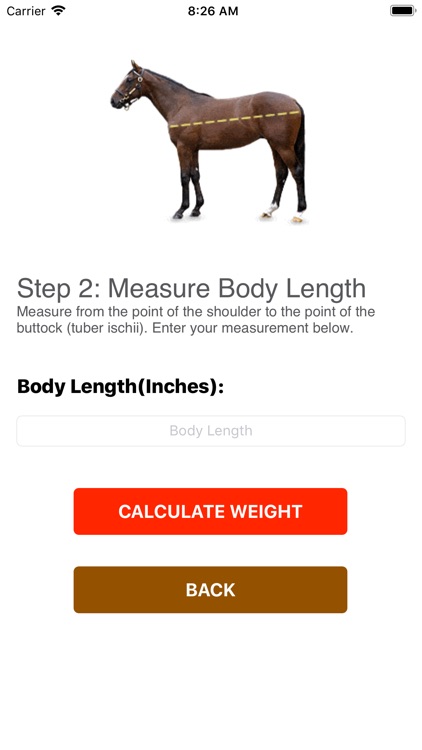 Horse Weight Estimation screenshot-9