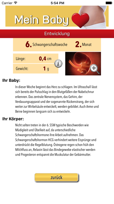 How to cancel & delete Mein Baby - Ich bin schwanger from iphone & ipad 2