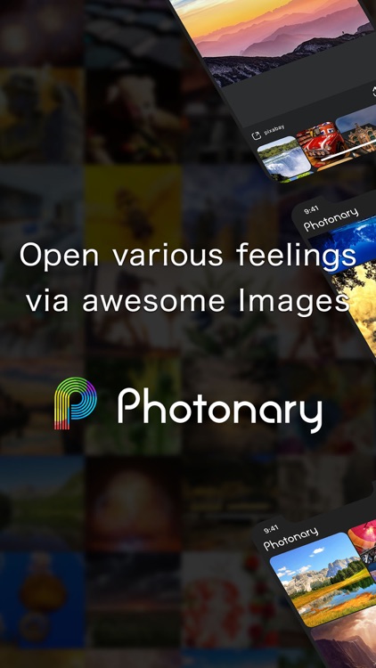 Photonary / Immersive gallery screenshot-0