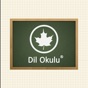 Dil Okulu: İngilizce Pro app download