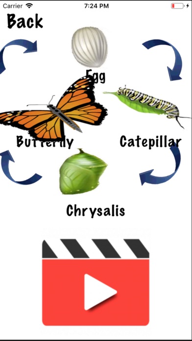 How to cancel & delete Life Cycle - Insects Arachnids from iphone & ipad 4