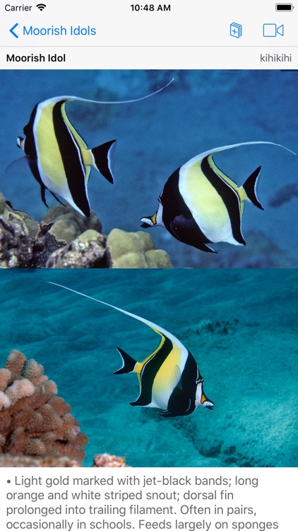 Snorkel Fish Hawaii for iPhone