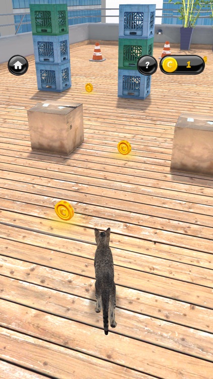 My Kitten (Cat Simulator)