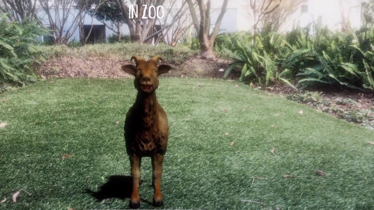 AR Petting Zoo screenshot-3