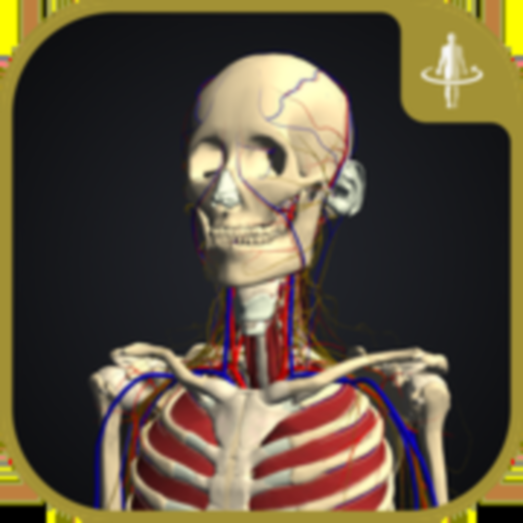 3d運動解剖学 Teamlabbody Iphoneアプリ Applion