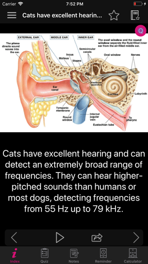 Human Anatomy Ears Facts, Quiz(圖4)-速報App