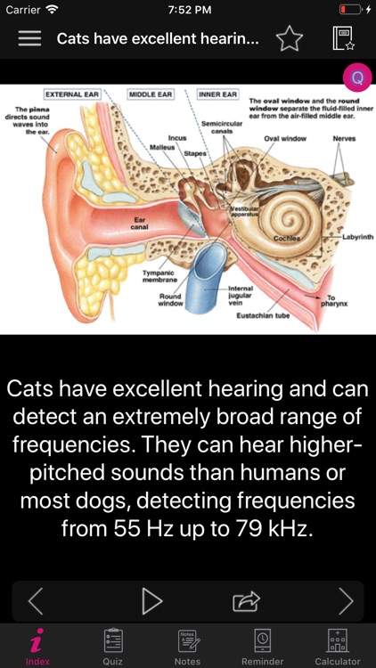 Human Anatomy Ears Facts, Quiz screenshot-3