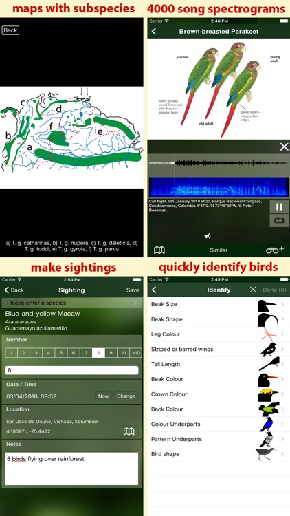 All Birds Colombia field guide screenshot-7