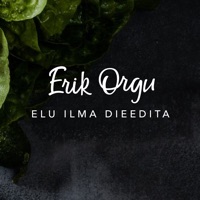 Erik Orgu – elu ilma dieedita pour PC