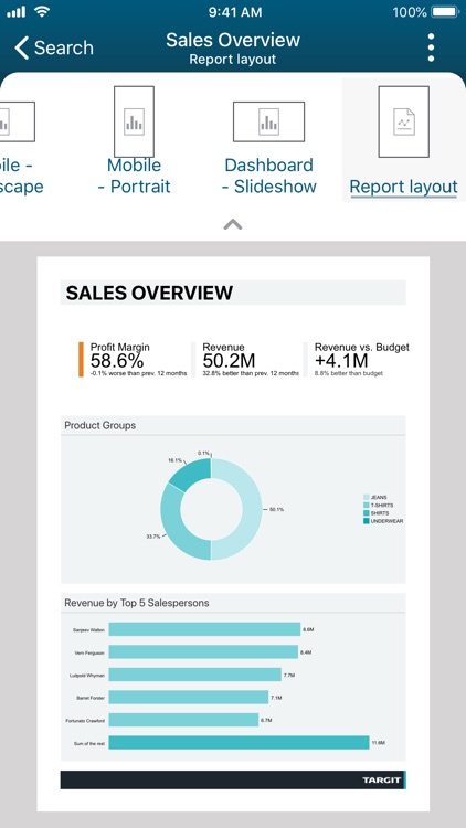 TARGIT Decision Suite