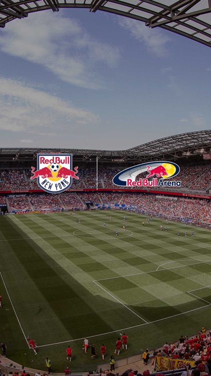 New York Red Bulls