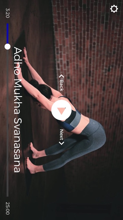 Down Dog | Great Yoga Anywhere screenshot-4