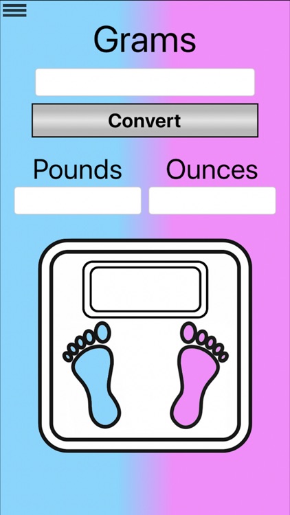 Baby Weight Converter