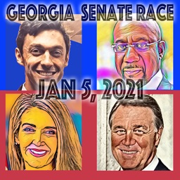 Georgia Senate Runoff