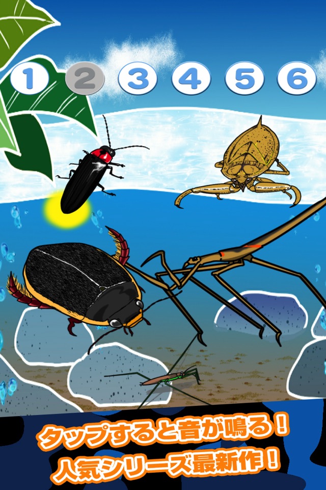 Catch Insect! screenshot 2