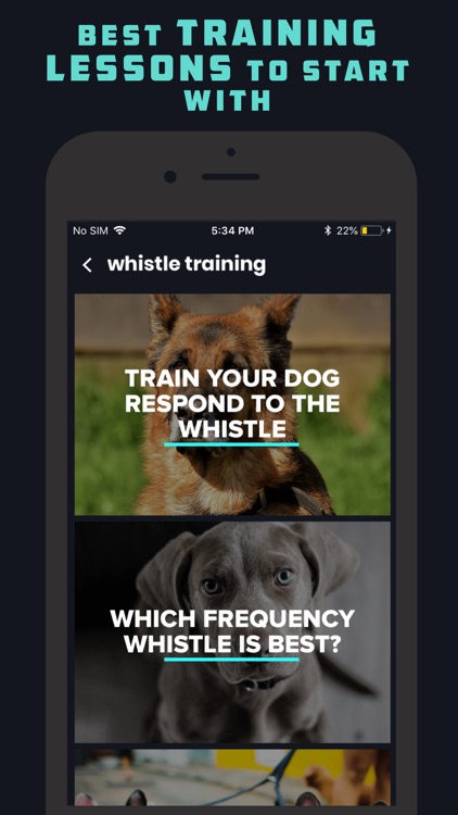 Dog Whistle & Clicker