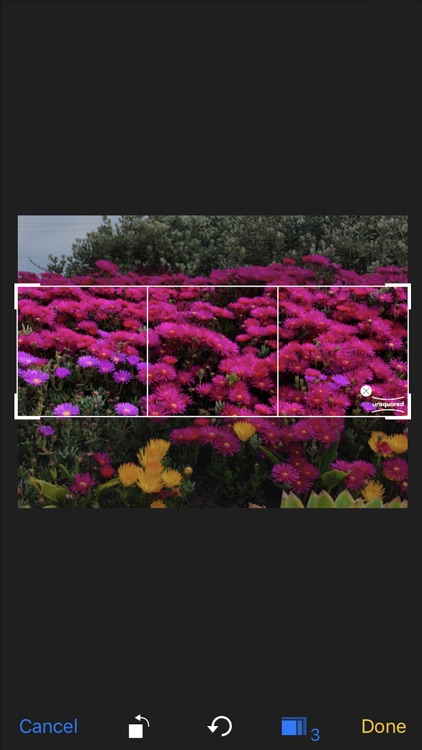Unsquared For Instagram screenshot-3