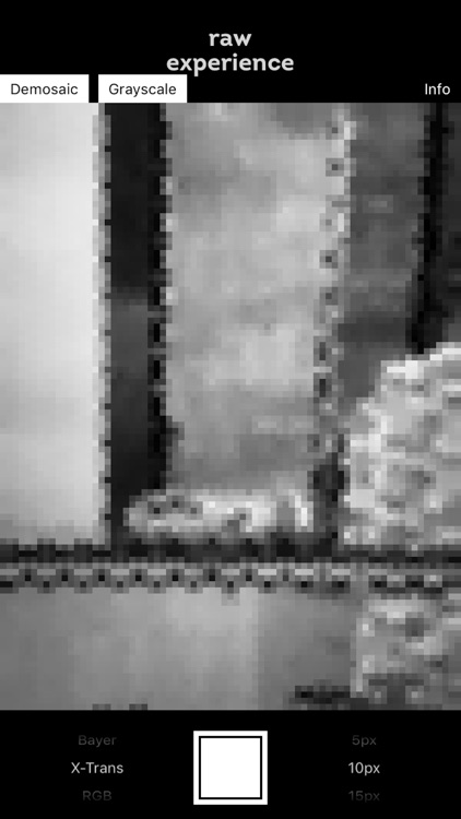 RAW Experience screenshot-4